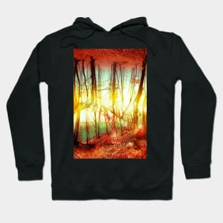 Endless Forest autumn forest red leaves optical illusion golden time Hoodie